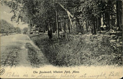 The Boulevard, Whalom Park Lunenburg, MA Postcard Postcard