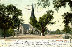 Washington Elm Postcard