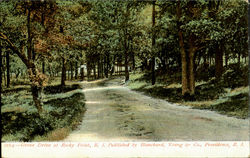 Grove At Rocky Point Postcard