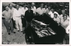 Kingfish Catch, Carrabelle, Florida Postcard