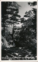Observation Platform at the Pinnacle, Cumberland Gap Postcard