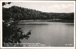 Norris Lake from Rogers Dock, LaFollette Postcard