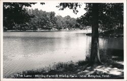 Shelby Forest State Park Lake near Memphis, TN Postcard