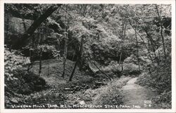 Vinegar Mills Trail #1, Muscatatuck State Park Postcard