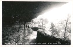 Trail to Clifty Falls, Clifty Falls State Park Postcard