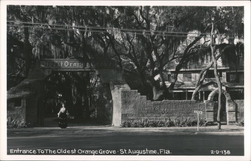 Oldest Orange Grove Entrance - St. Augustine, Florida
