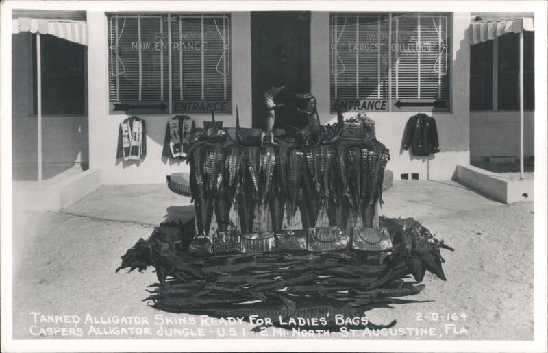 Tanned Alligator Skins, Ladies Bags, Casper's Alligator Jungle St. Augustine Florida