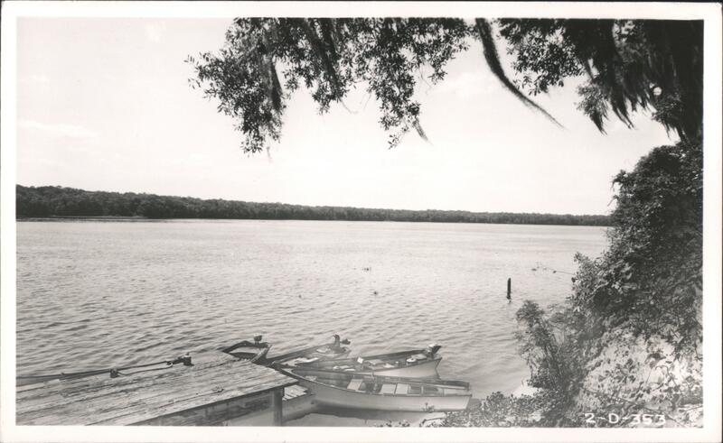 Vintage Boats Docked on Lake with Spanish Moss Welaka Florida