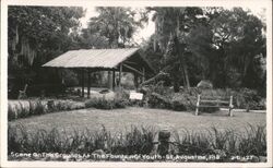 Fountain of Youth Grounds Scene, St. Augustine, Florida Postcard