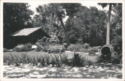 Fountain of Youth, St. Augustine, Florida Postcard
