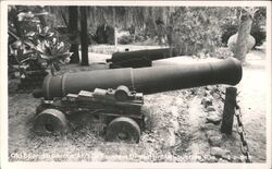 Old Spanish Cannon at Fountain of Youth Postcard