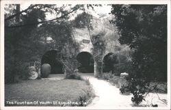 Fountain of Youth, St. Augustine, Florida Postcard