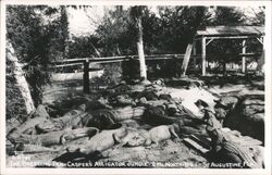 Casper's Alligator Jungle Breeding Pen, St. Augustine, FL Postcard