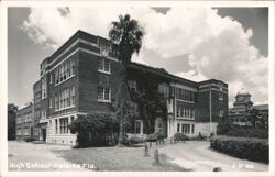 Palatka High School, Florida Postcard