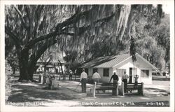 Playing Shuffleboard in Eva Lyon Park Postcard