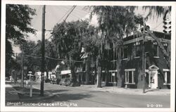 Street Scene with Businesses, Cars, Trees, Crescent City, FL Postcard