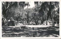 View In Eva Lyon Park Postcard