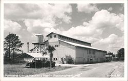 Pomona Citrus Packers Plant - Pomona Park, Florida Postcard