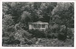 Hillcrest Cottage at Tapoco Lodge Postcard