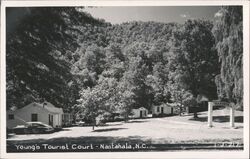Young's Tourist Court Cabins, Nantahala, NC Postcard