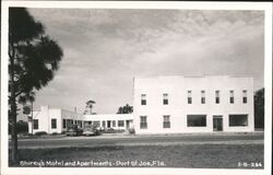 Shirey's Motel and Apartments, Port St. Joe, Florida Postcard