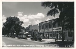 University of Florida Business Section - Gainesville Postcard