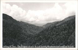 Valley of the Little Pigeon River, Great Smoky Mountains National Park Postcard