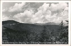 Great Smoky Mountains National Park Scene Along The Skyway Postcard