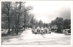 Monteagle Motor Court, Gift Shop, Vacancy Sign Postcard