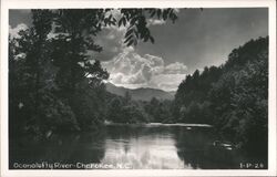 Oconalufty River, Cherokee, North Carolina Postcard