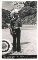 Chief Sequoyah, Cherokee, NC Totem Pole Postcard