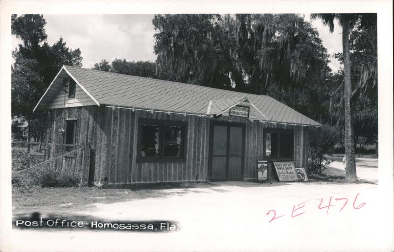 Homosassa Florida Post Office and Soda Shop Real Photo Postcard