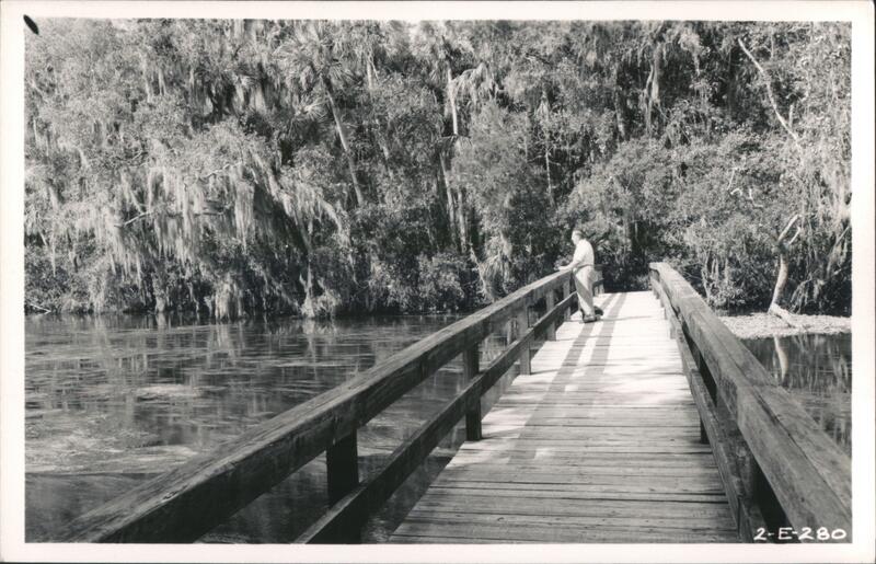 Man on Wooden Bridge Homosassa Florida