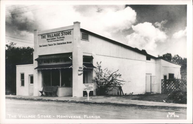The Village Store, Montverde, Florida