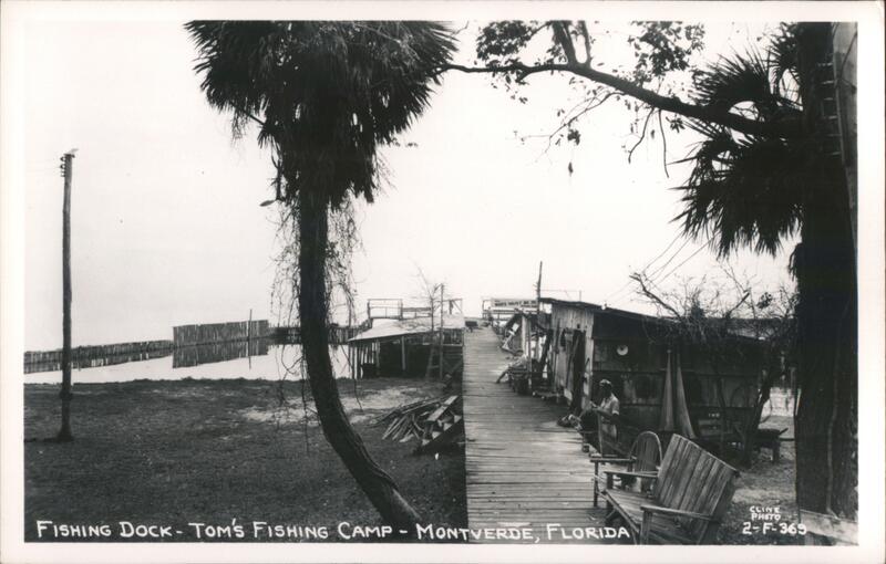 Tom's Fishing Camp, Fishing Dock, Montverde, Florida