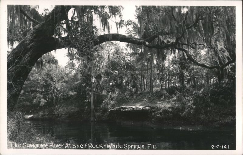 Suwannee River at Shelf Rock, White Springs, Florida