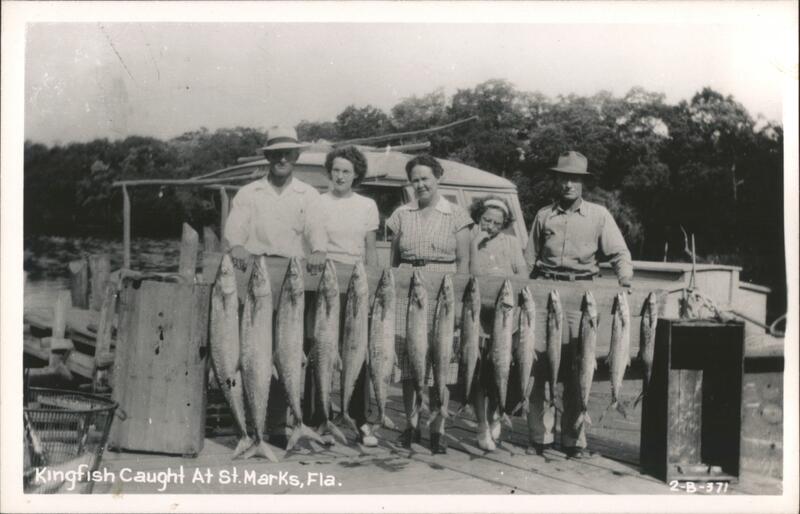 Kingfish Catch at St. Marks, Florida Saint Marks