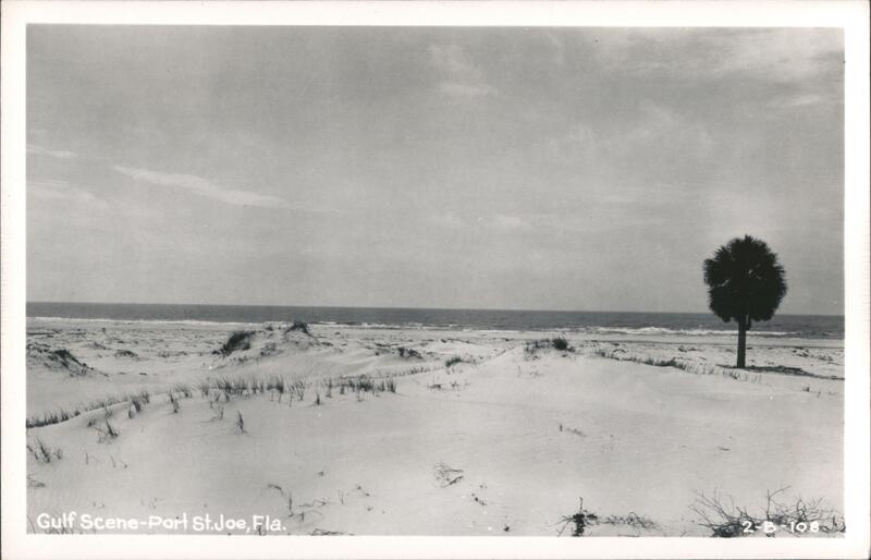 Gulf Scene, Sand Dunes, Palm Tree, Port St. Joe, Florida Port Saint Joe