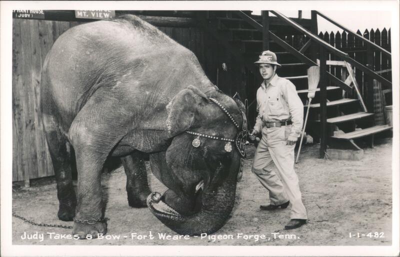 Elephant Judy Takes a Bow, Fort Weare, Pigeon Forge Tennessee