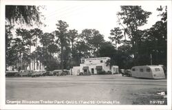 Orange Blossom Trailer Park, Orlando, Florida Postcard