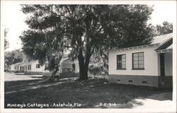 Mincey's Cottages, Astatula, Florida Postcard