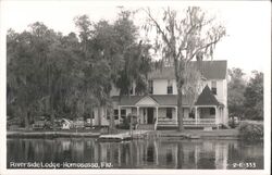 Riverside Lodge in Homosassa, Florida Postcard