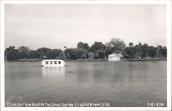 Glass Bottom Boat, Great Spring, Crystal River Postcard