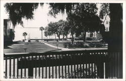 Lakeside Inn, Mount Dora, Florida Postcard