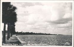 Shoreline Scene Lake Monroe Postcard
