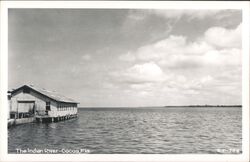 Indian River, Cocoa, Florida Postcard