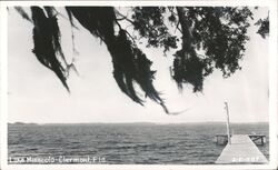 Lake Minneola Pier, Clermont Florida Postcard