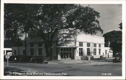 Greyhound Bus Station Tallahassee Florida Postcard
