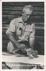 Bill Ross Milking Diamond Back Rattlesnake Postcard