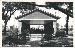 Old Market, St. Augustine, Florida Postcard